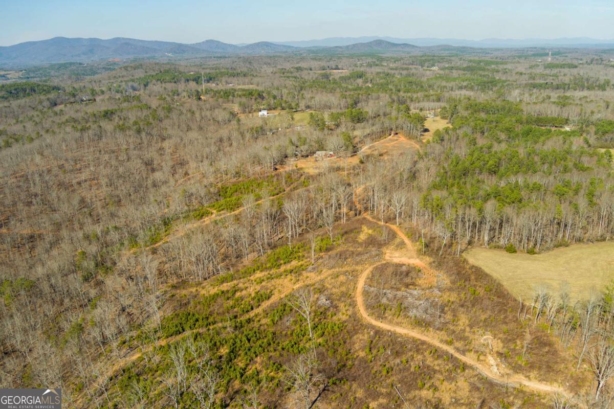 170 Sperin Cabinet Road Ball Ground GA 30107