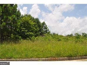 298 Randall Drive Rockmart GA 30153