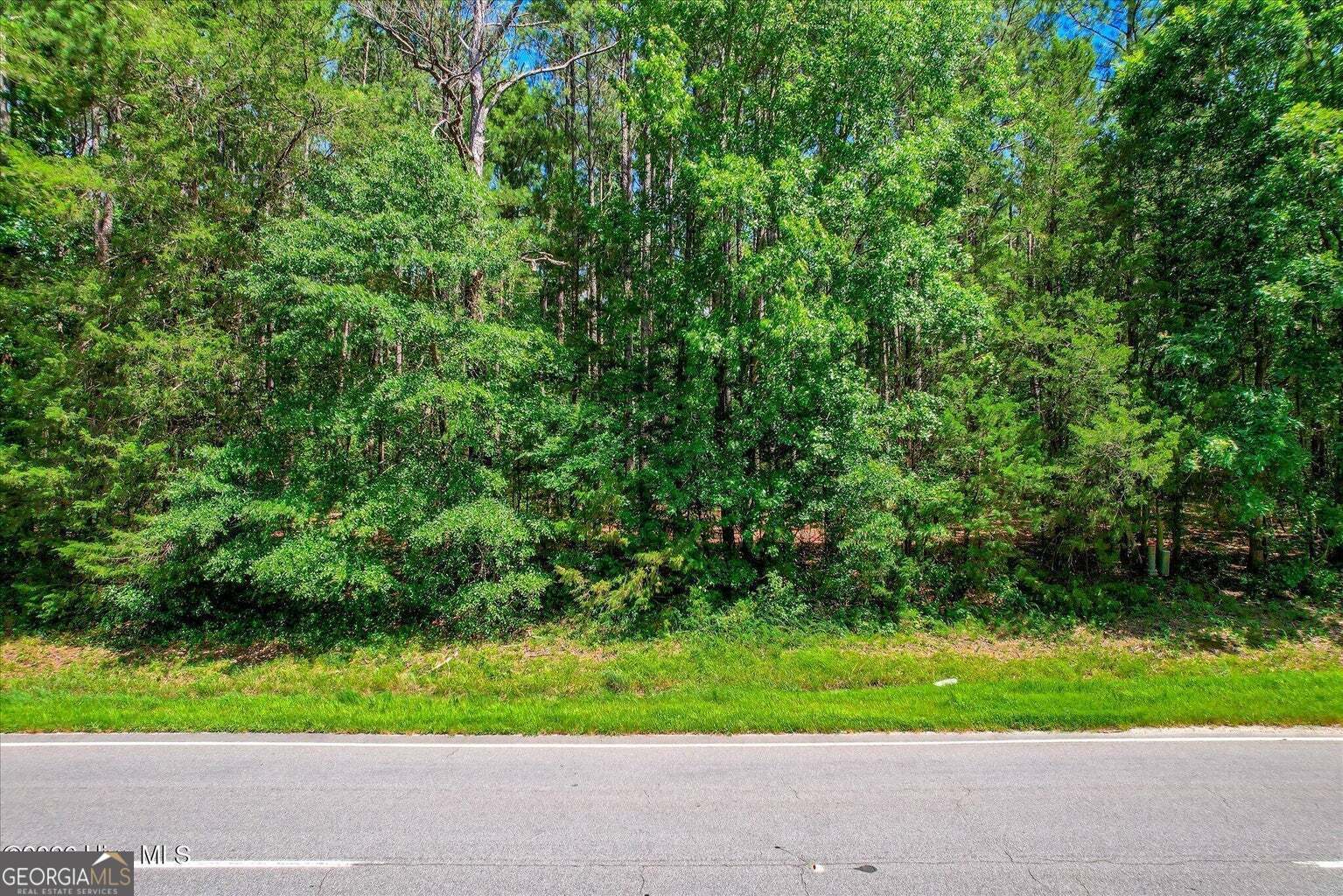 0 Hwy 378 And Ann Scott Drive Lincolnton GA 30817