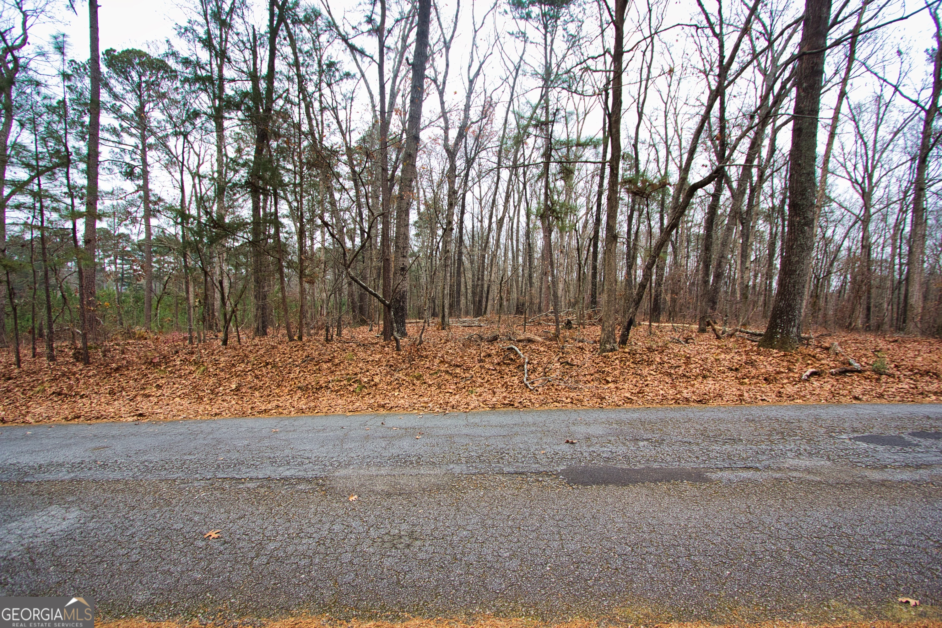 0 Bailey Circle Loganville GA 30052