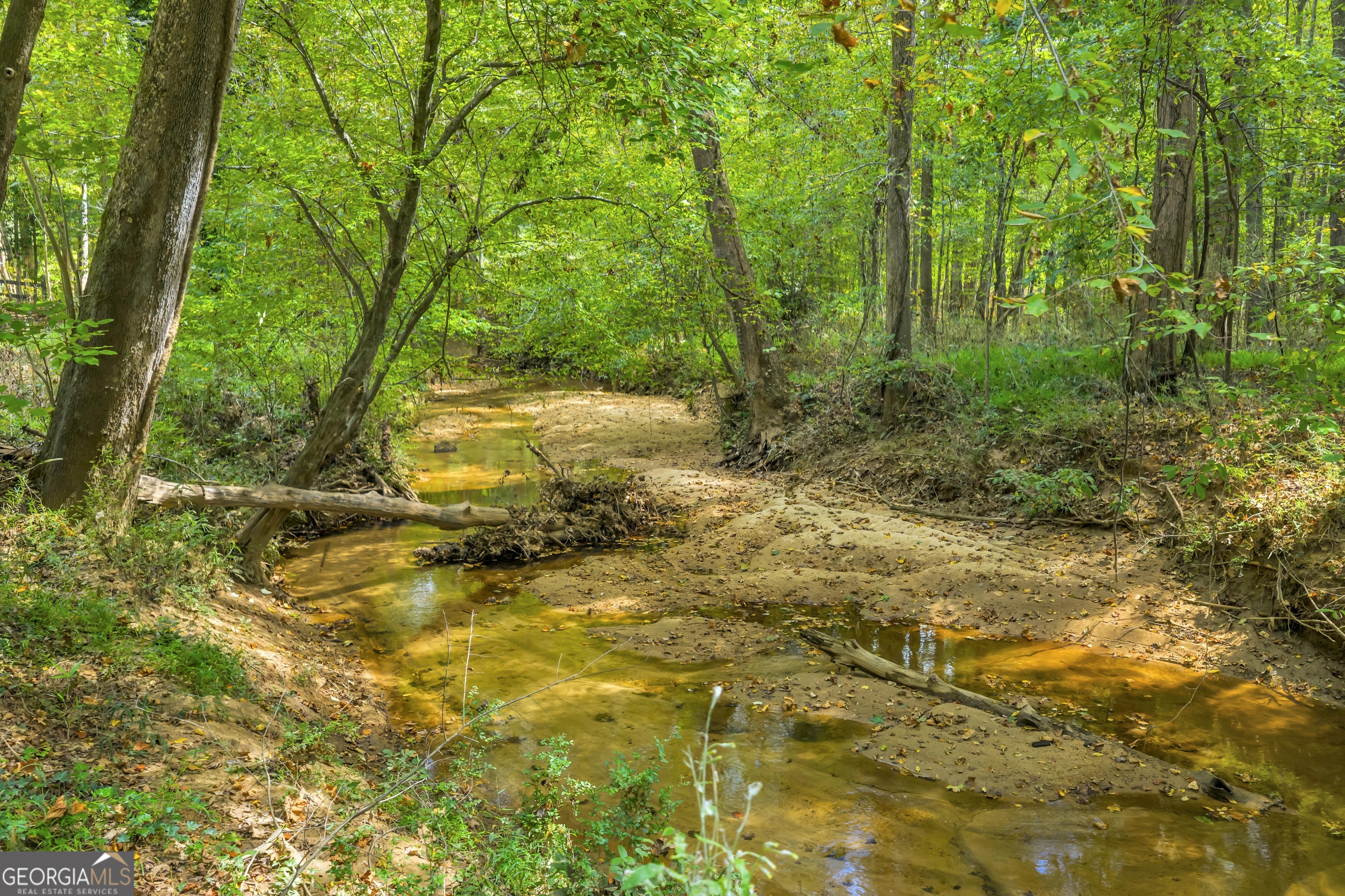 1542 Silver Hill Road Stone Mountain GA 30087