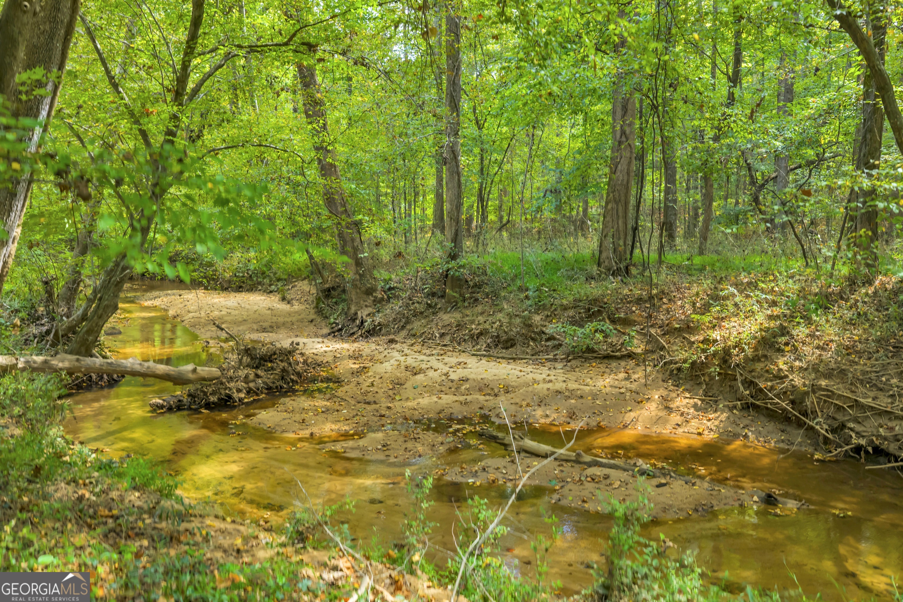 1542 Silver Hill Road Stone Mountain GA 30087