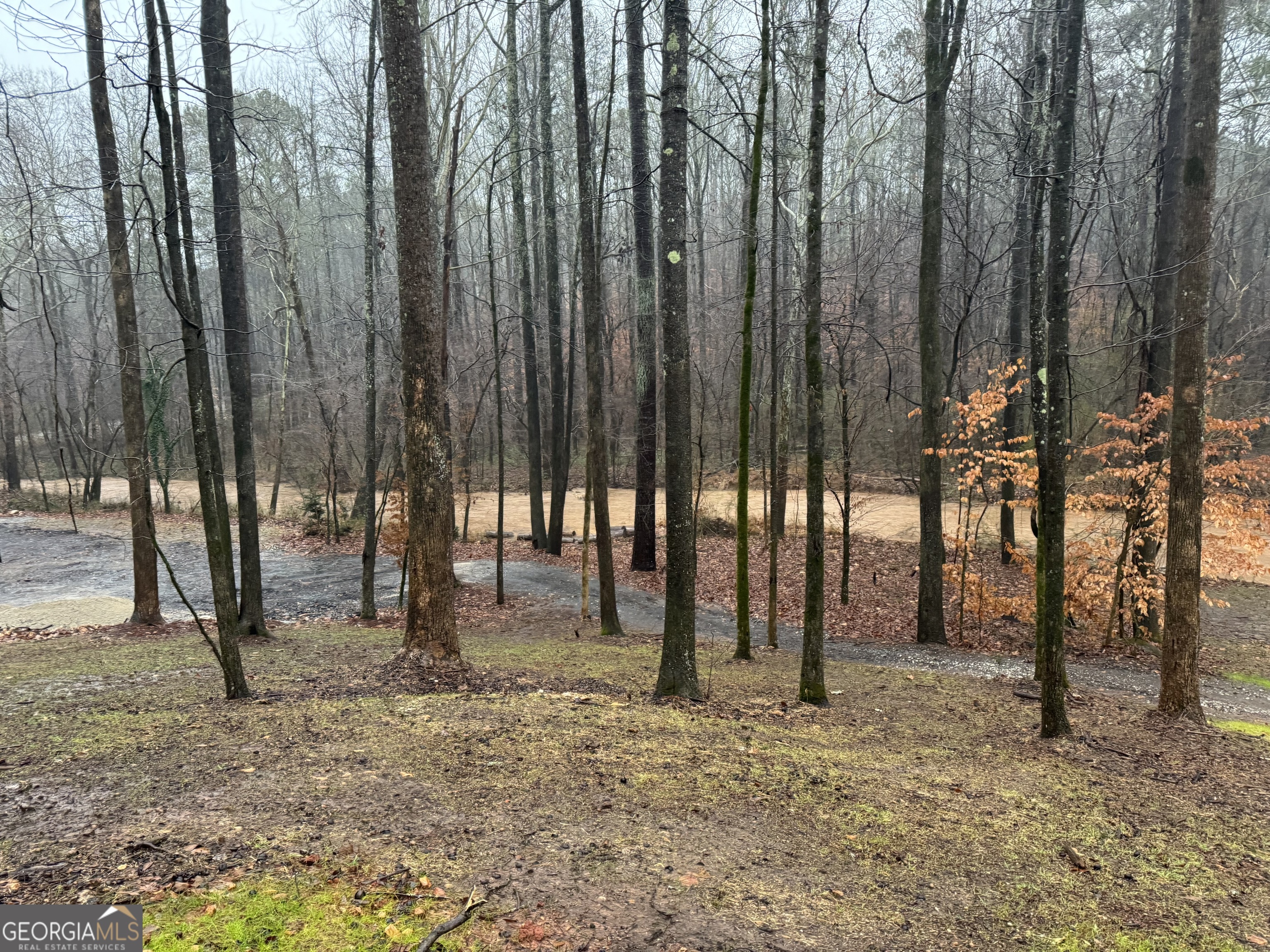 1542 Silver Hill Road Stone Mountain GA 30087