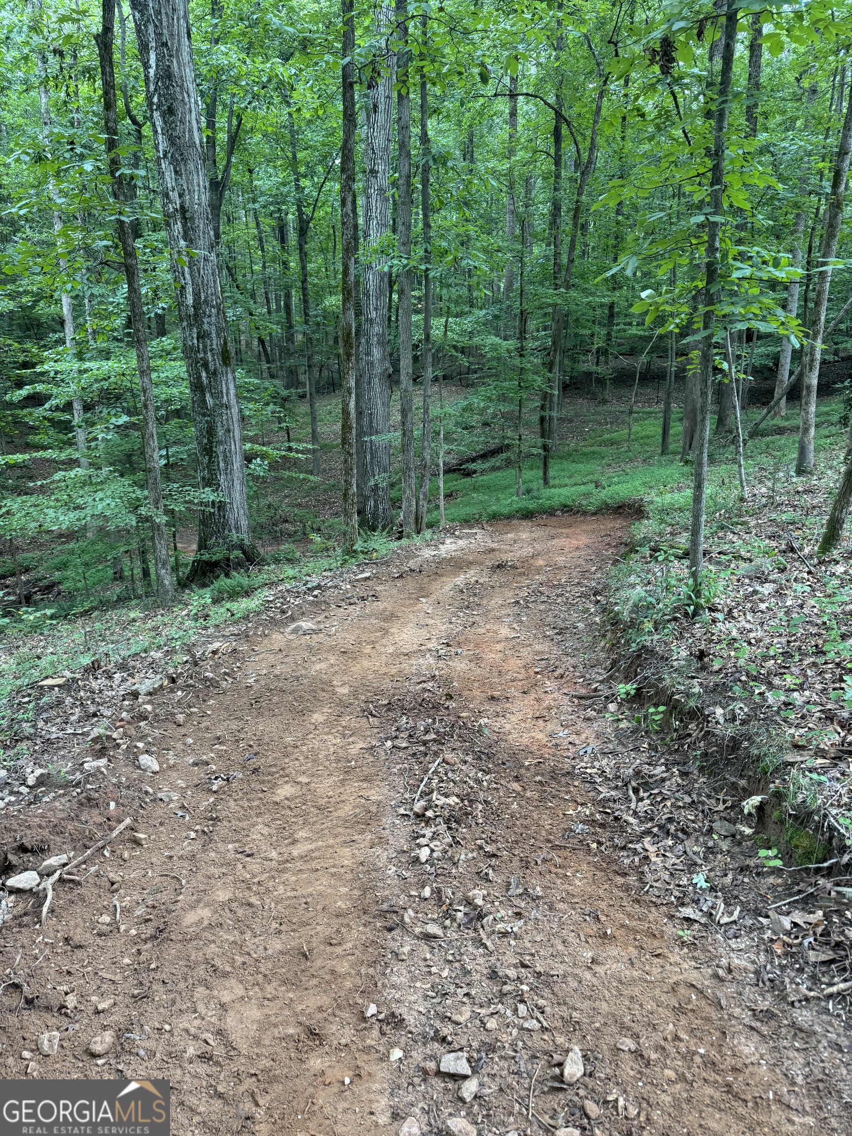 1542 Silver Hill Road Stone Mountain GA 30087