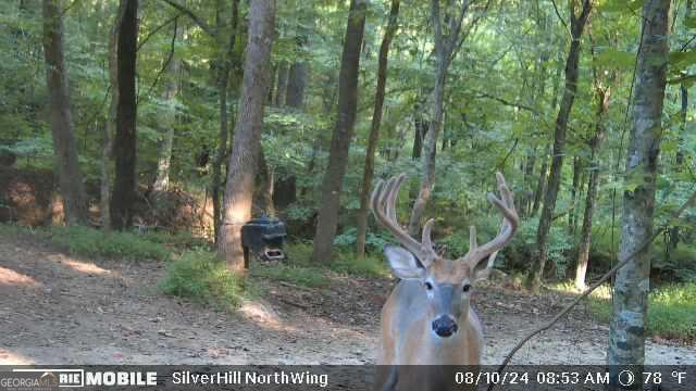 1542 Silver Hill Road Stone Mountain GA 30087