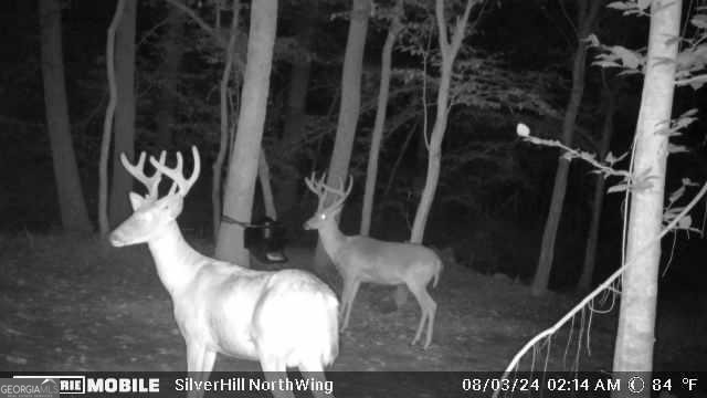 1542 Silver Hill Road Stone Mountain GA 30087