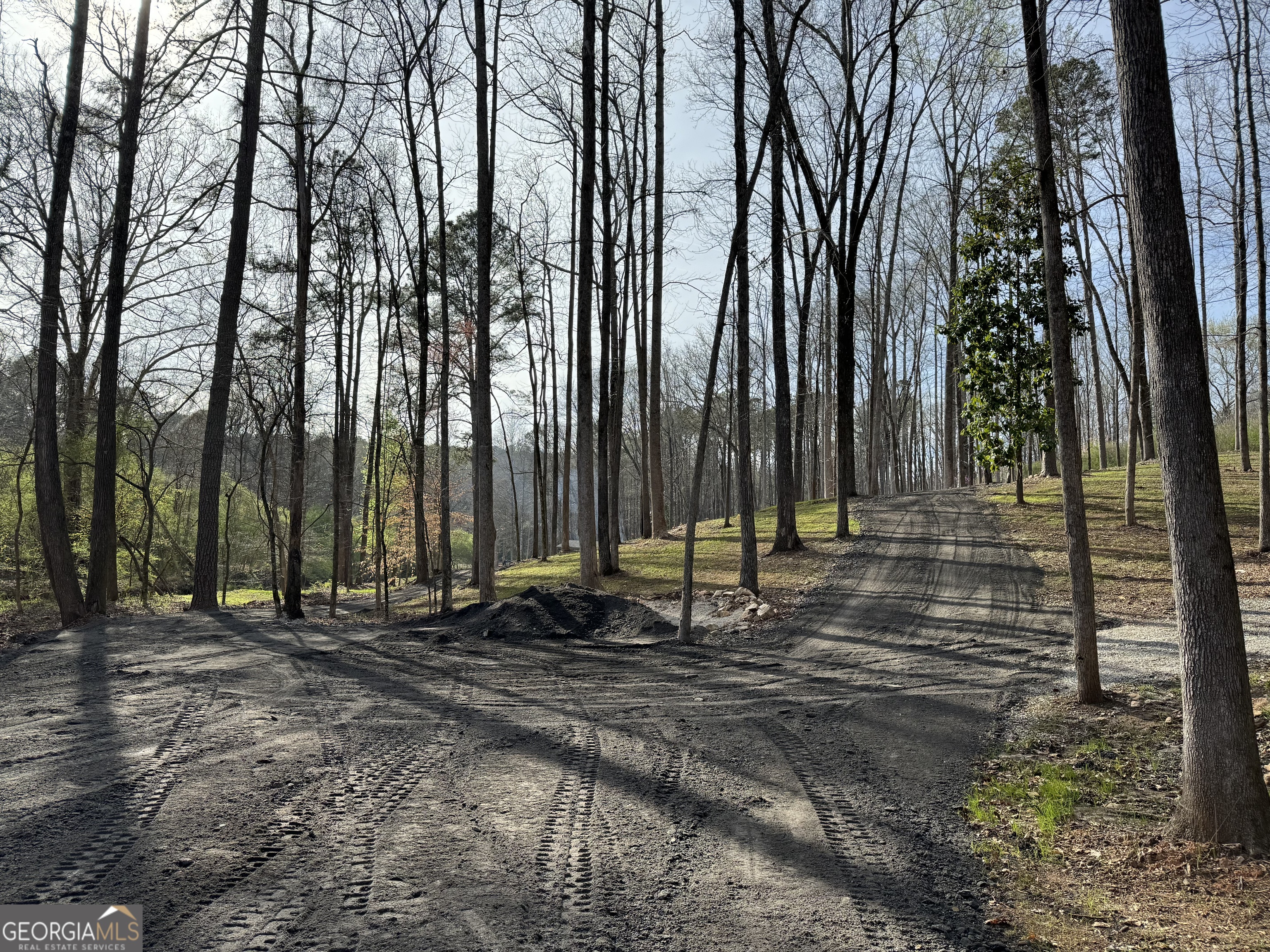 1542 Silver Hill Road Stone Mountain GA 30087