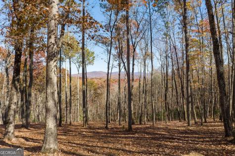 19R Settlement Trail Ellijay GA 30536