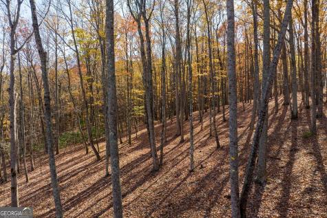 19R Settlement Trail Ellijay GA 30536