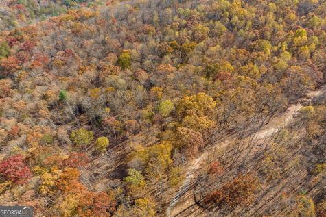19R Settlement Trail Ellijay GA 30536