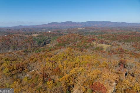 19R Settlement Trail Ellijay GA 30536