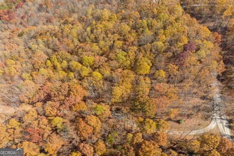 19R Settlement Trail Ellijay GA 30536