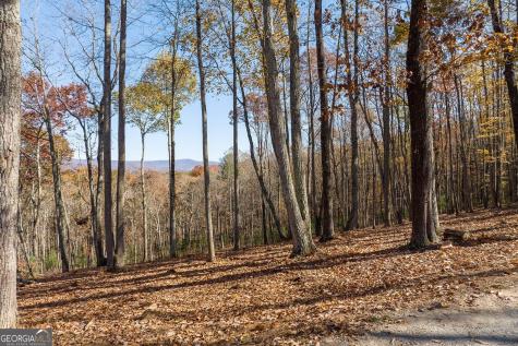 19R Settlement Trail Ellijay GA 30536