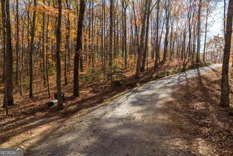 19R Settlement Trail Ellijay GA 30536