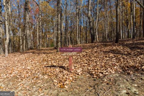 19R Settlement Trail Ellijay GA 30536