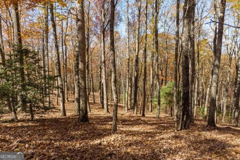 19R Settlement Trail Ellijay GA 30536