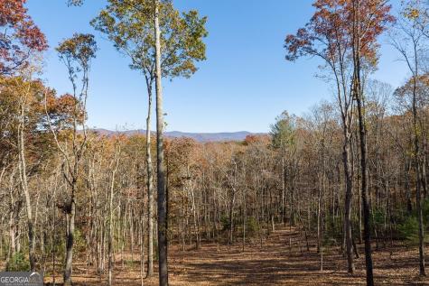 19R Settlement Trail Ellijay GA 30536