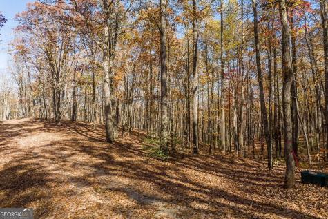 19R Settlement Trail Ellijay GA 30536