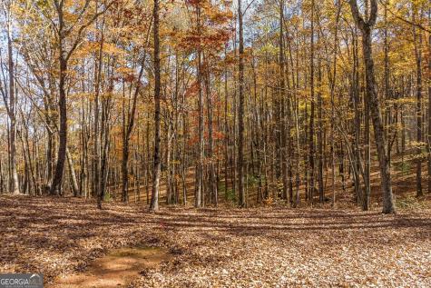 19R Settlement Trail Ellijay GA 30536