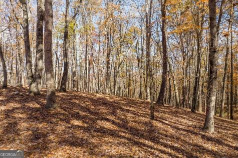 19R Settlement Trail Ellijay GA 30536