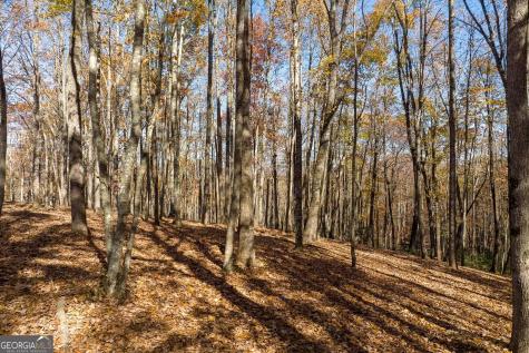 19R Settlement Trail Ellijay GA 30536