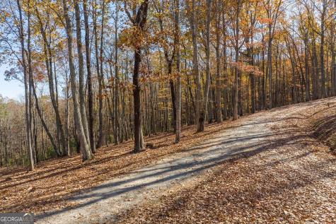 19R Settlement Trail Ellijay GA 30536