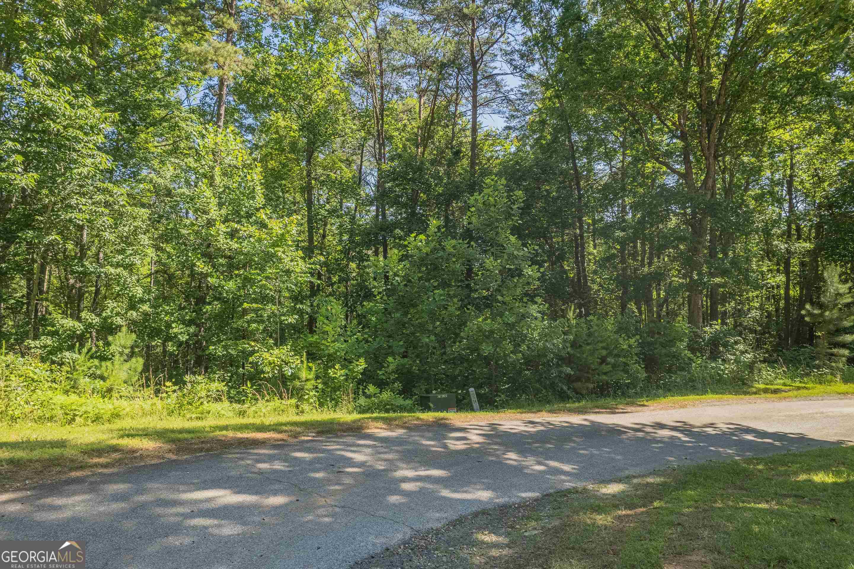 13 & 35 Edgewater Trail Toccoa GA 30577