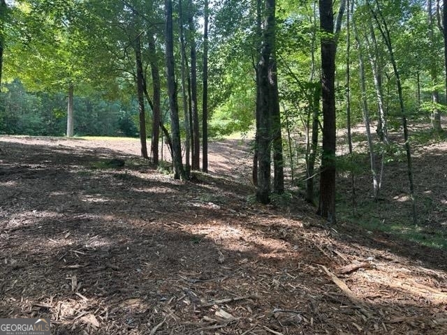 13 & 35 Edgewater Trail Toccoa GA 30577