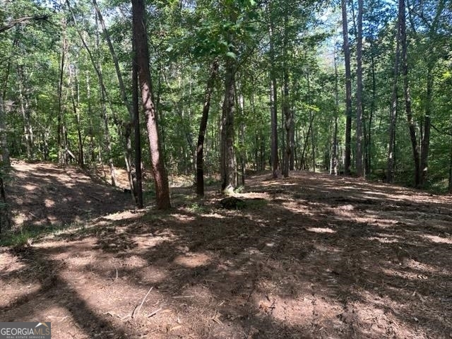 13 & 35 Edgewater Trail Toccoa GA 30577