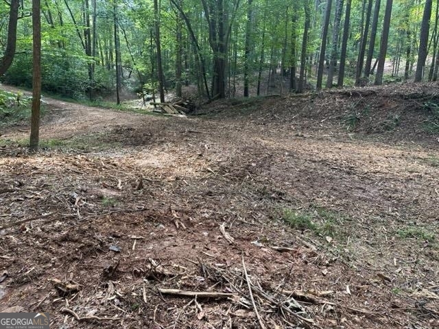 13 & 35 Edgewater Trail Toccoa GA 30577