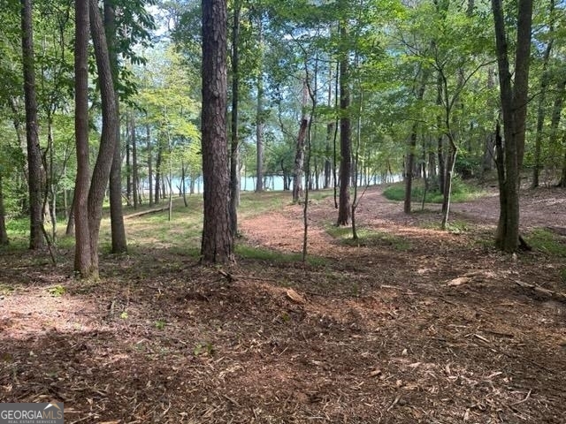 13 & 35 Edgewater Trail Toccoa GA 30577