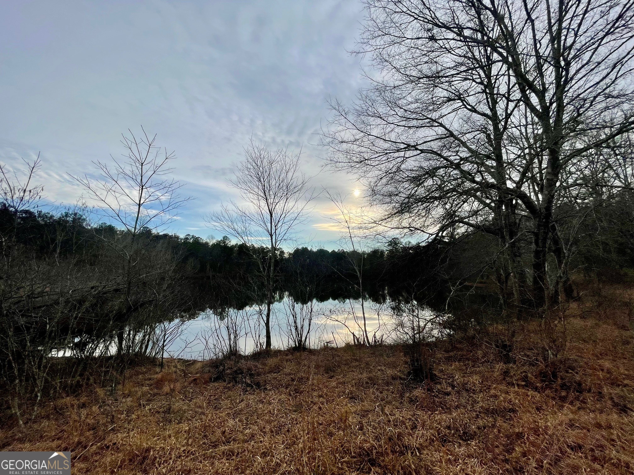 0 Padgett Road Senoia GA 30276