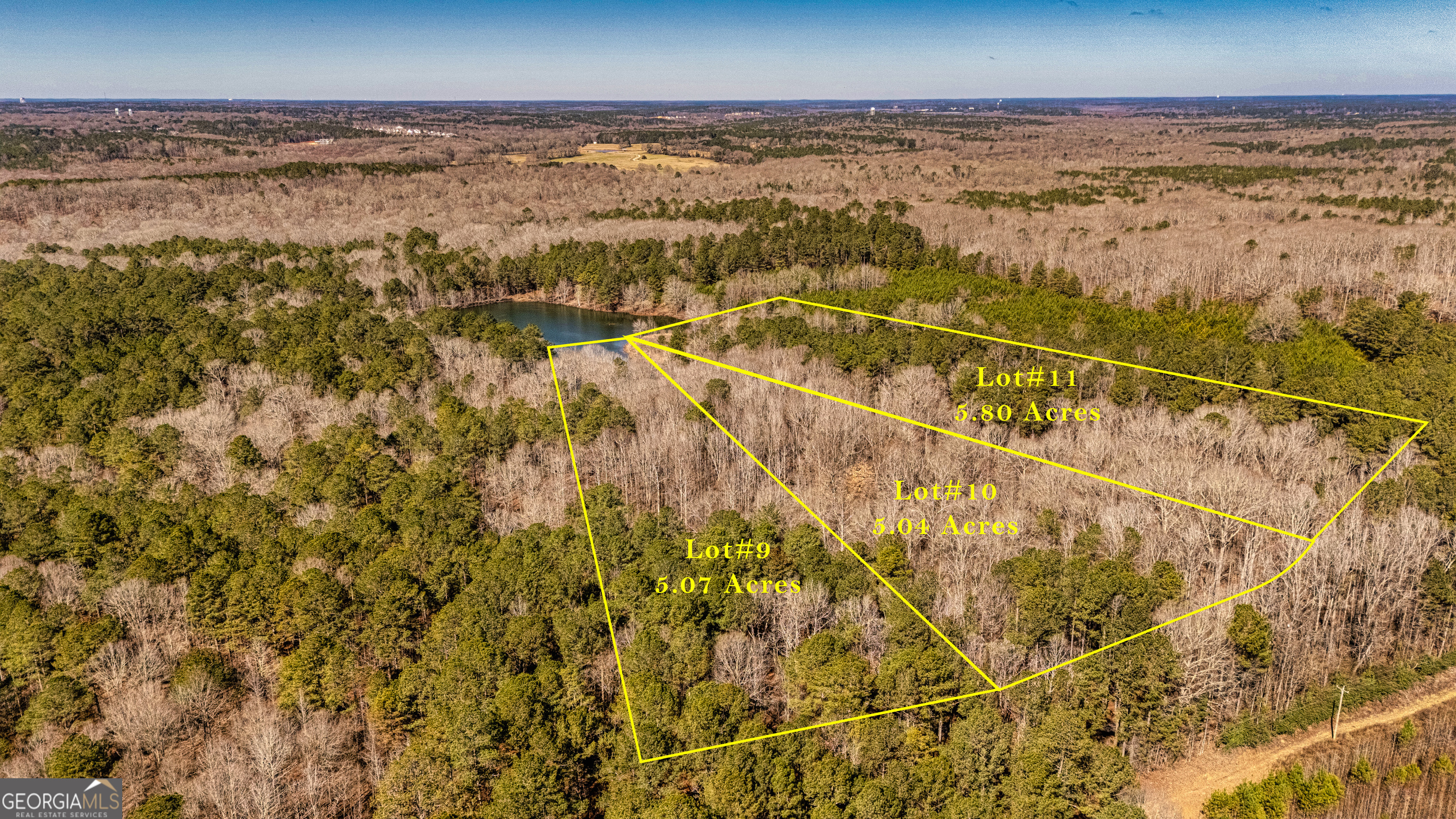 0 Padgett Road Senoia GA 30276