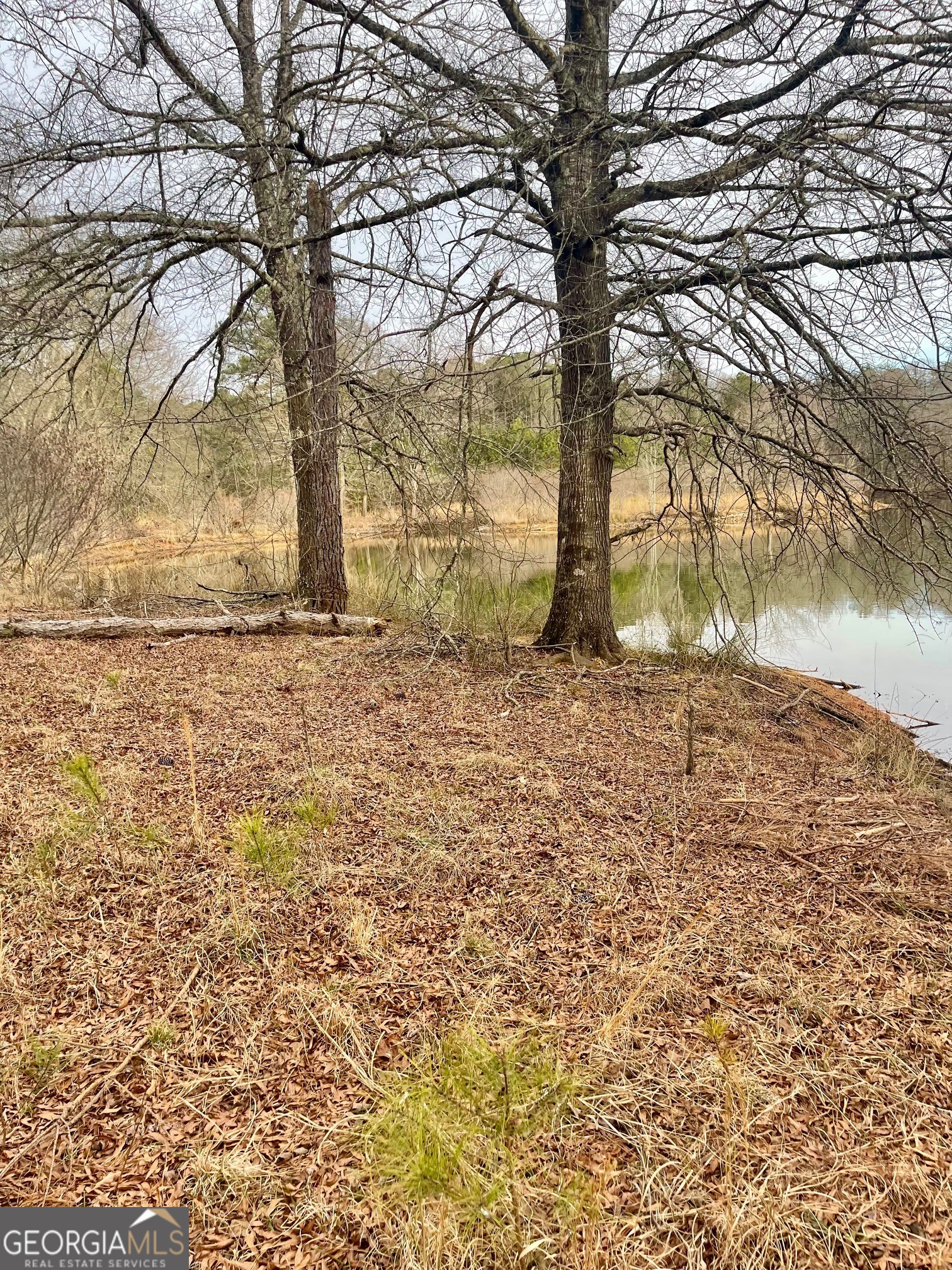 0 Padgett Road Senoia GA 30276