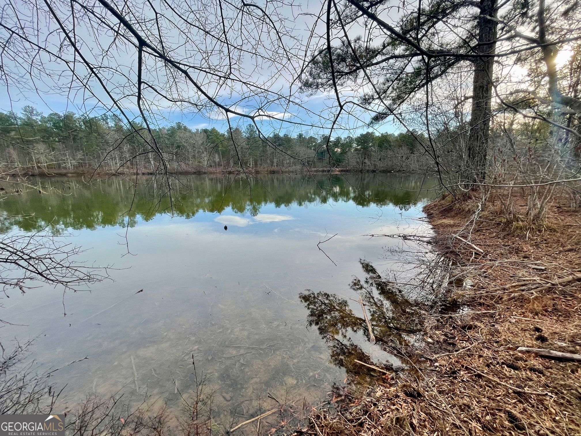 0 Padgett Road Senoia GA 30276