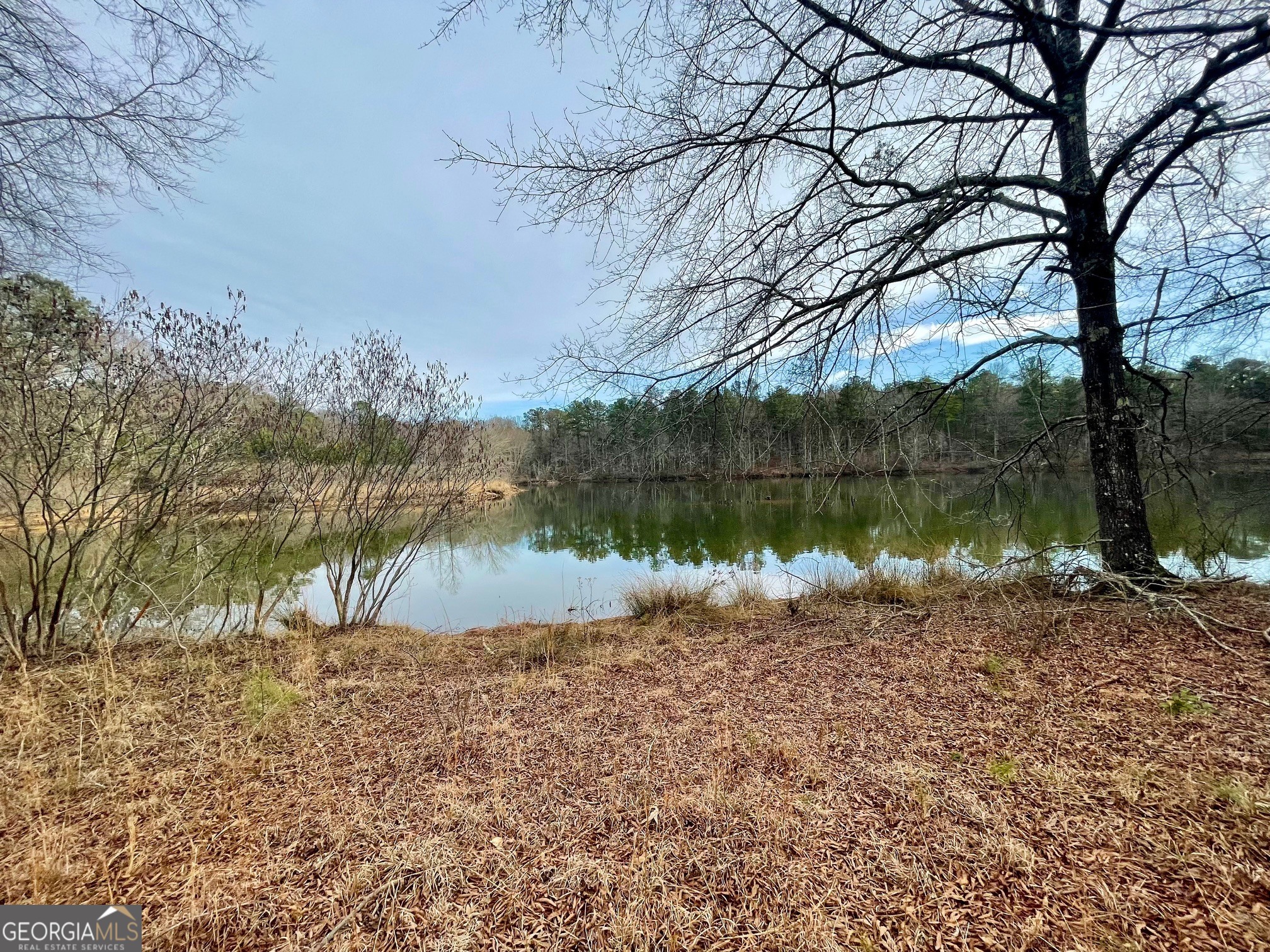0 Padgett Road Senoia GA 30276