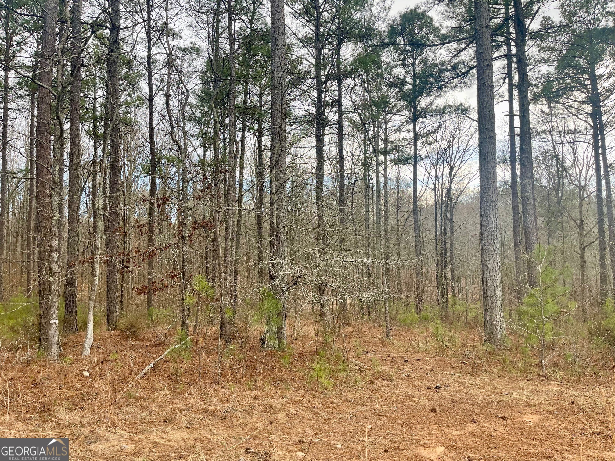 0 Padgett Road Senoia GA 30276