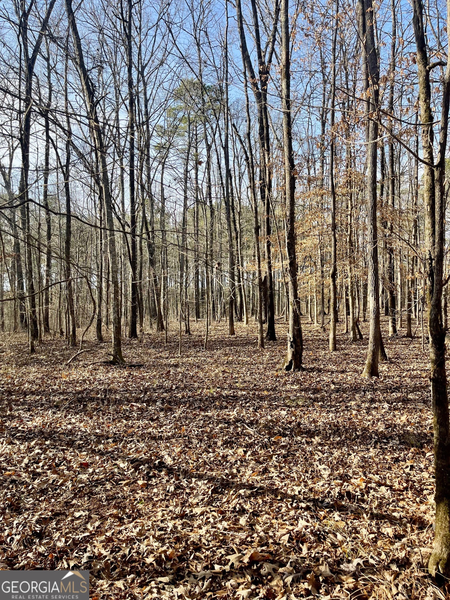 0 Padgett Road Senoia GA 30276