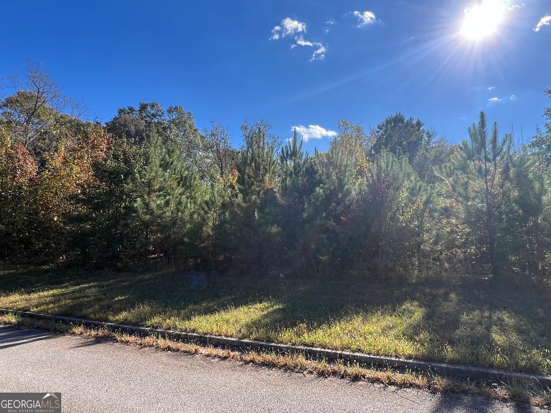 165 Honey Lane Fayetteville GA 30214