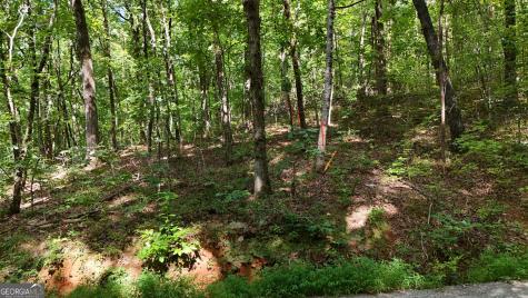Lot 182 Hillside Drive Clarkesville GA 30523