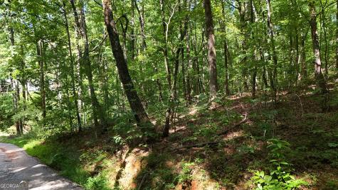 Lot 182 Hillside Drive Clarkesville GA 30523