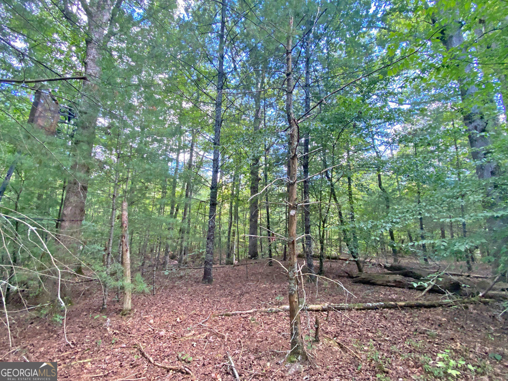 152AC Whitepath Road Ellijay GA 30540