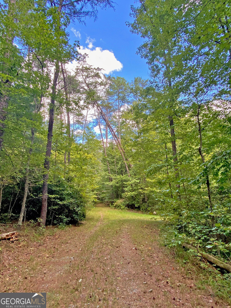 152AC Whitepath Road Ellijay GA 30540