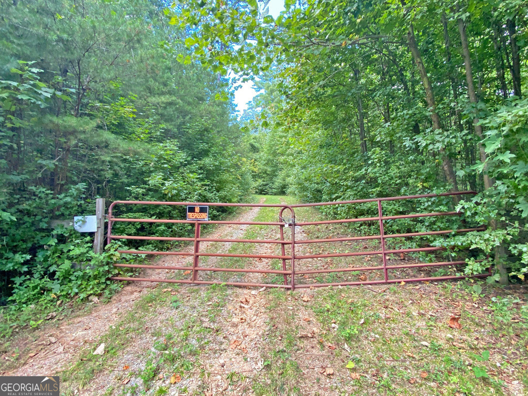 152AC Whitepath Road Ellijay GA 30540