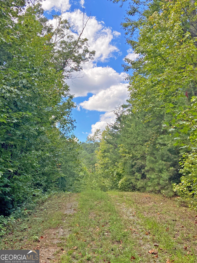 152AC Whitepath Road Ellijay GA 30540