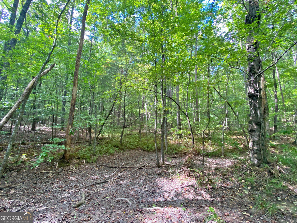 152AC Whitepath Road Ellijay GA 30540