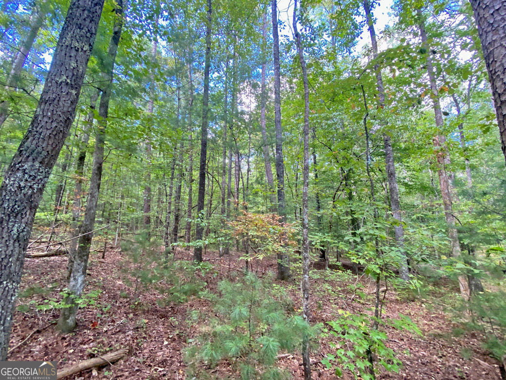 152AC Whitepath Road Ellijay GA 30540