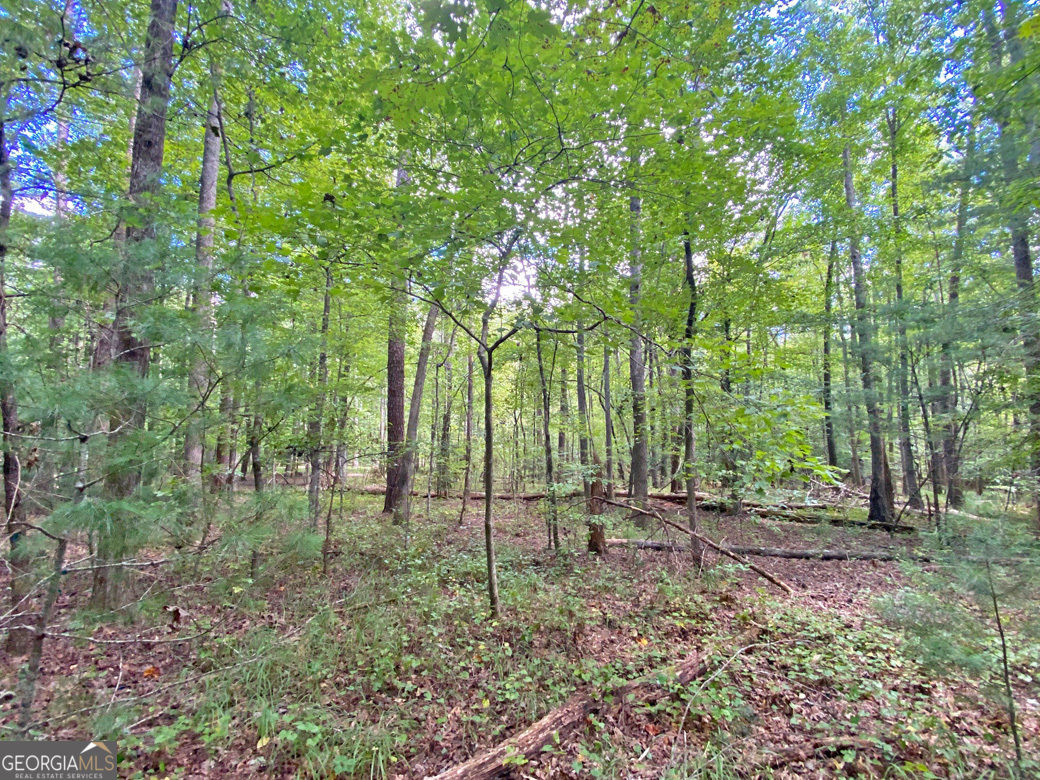 152AC Whitepath Road Ellijay GA 30540