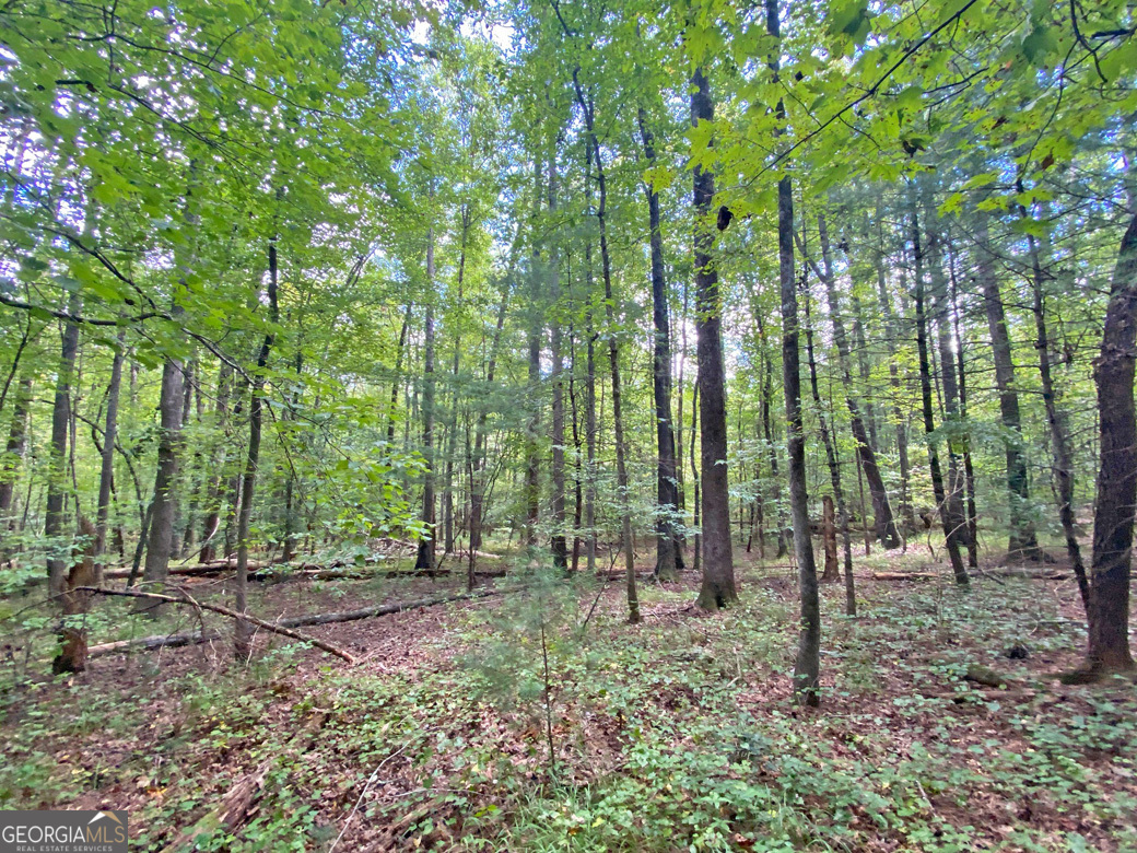 152AC Whitepath Road Ellijay GA 30540