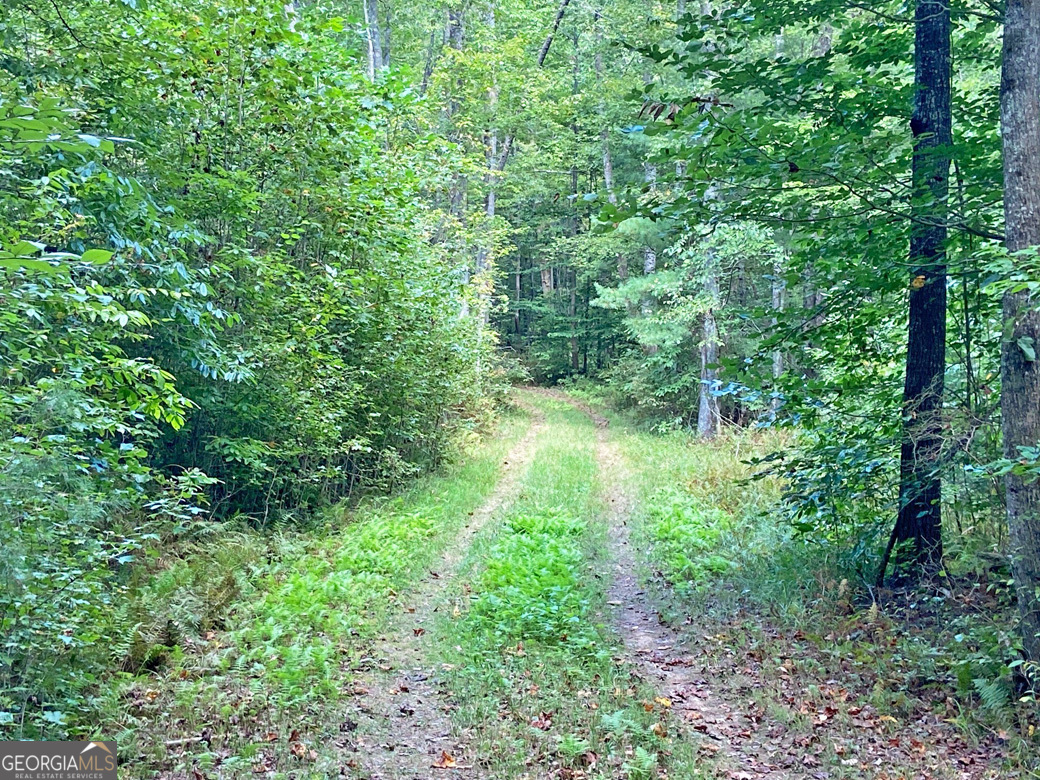152AC Whitepath Road Ellijay GA 30540